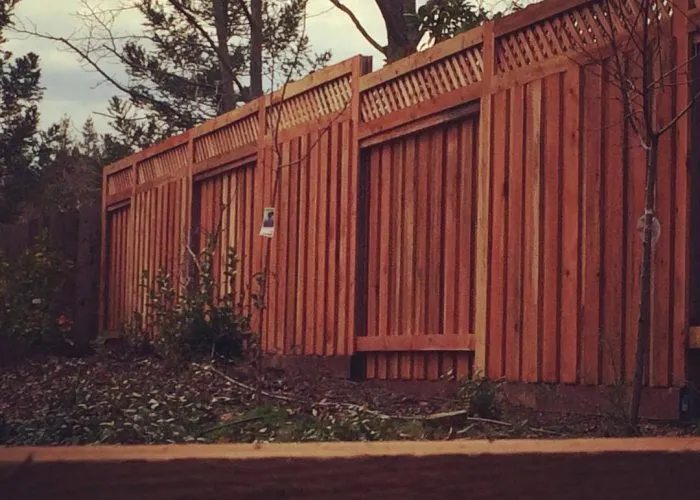Backyard Fence Project
