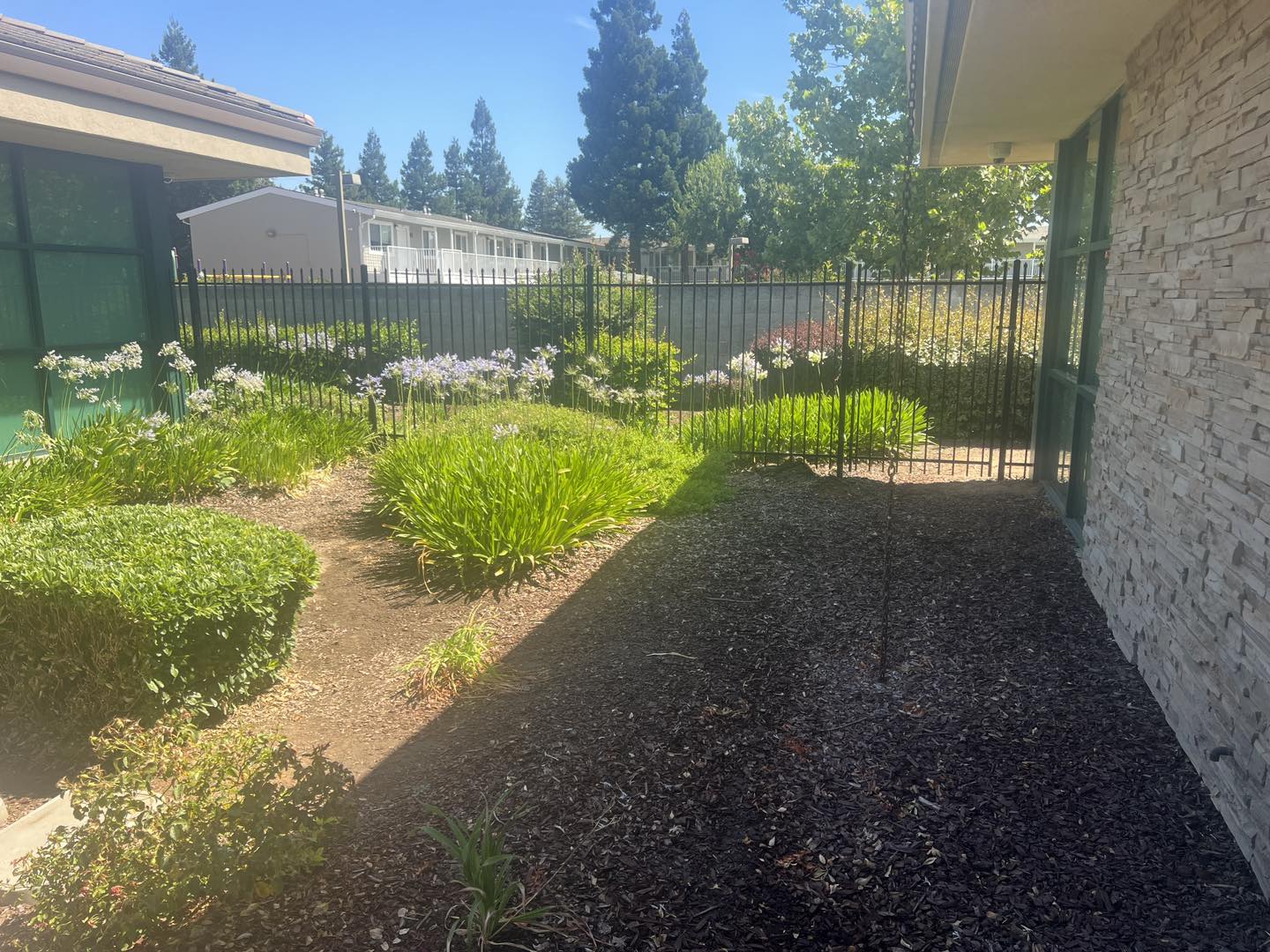 Ornamental iron fence along a property line